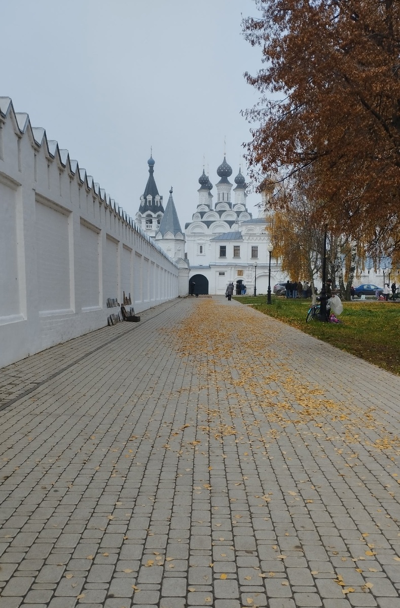 Владимирская область, Муромский район, город Муром, улица Красноармейская, 1