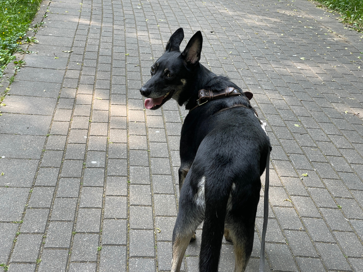 Я лучше буду на всех со стороны смотреть, чем близко знакомиться 😅!