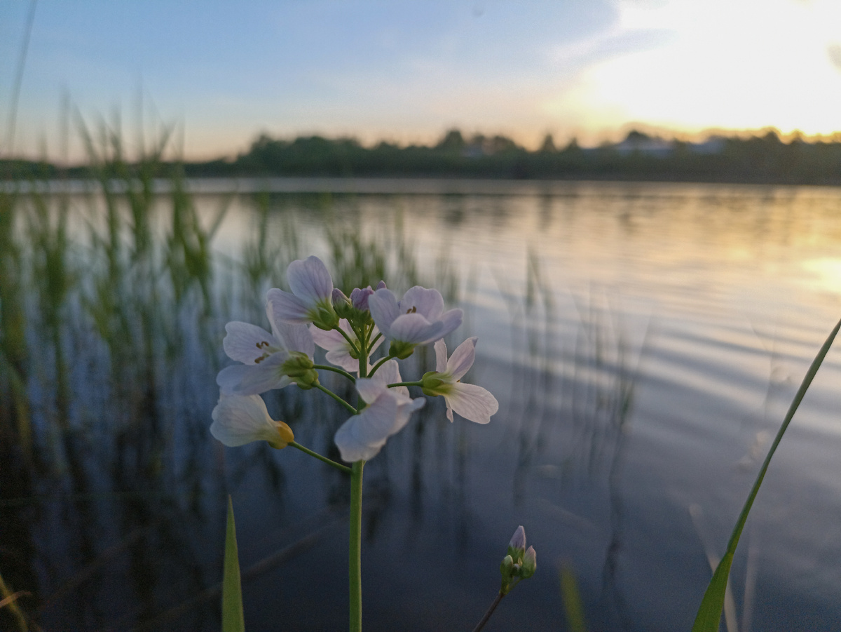 Закат на озере 