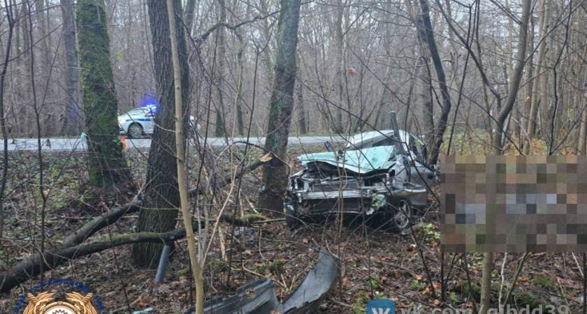    Смертельная авария в Зеленоградском районе: 21-летний парень не справился с управлением на трассе