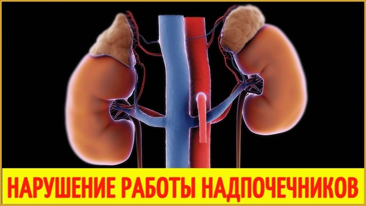 10 симптомов, что надпочечники истощены (чек-лист)