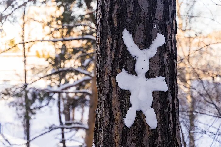    Фото Андрея Заржецкого, VN.ru