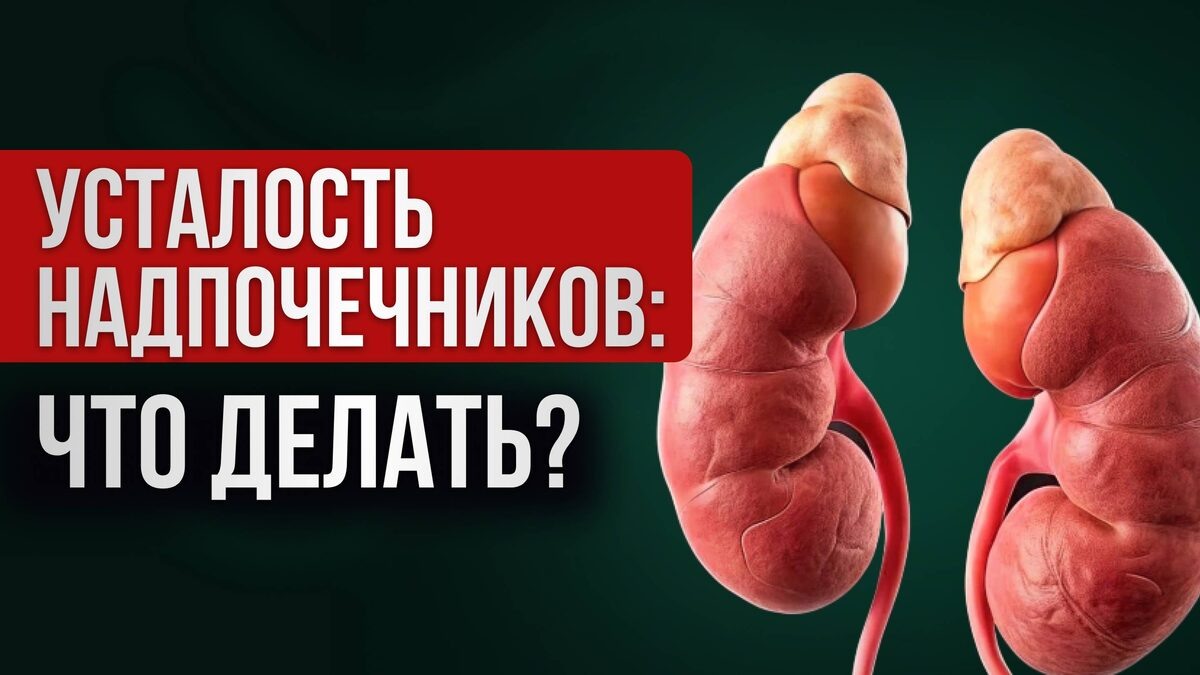 Эндокринолог объяснил, как стресс разрушает работу надпочечников (интервью)