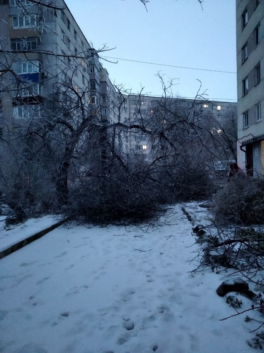 Листайте картинки, здесь 10 фото