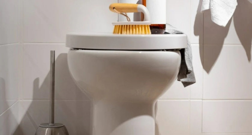    Японцы садятся на унитаз лицом вперед — и вот почему: причина поражает — но логика в этом есть