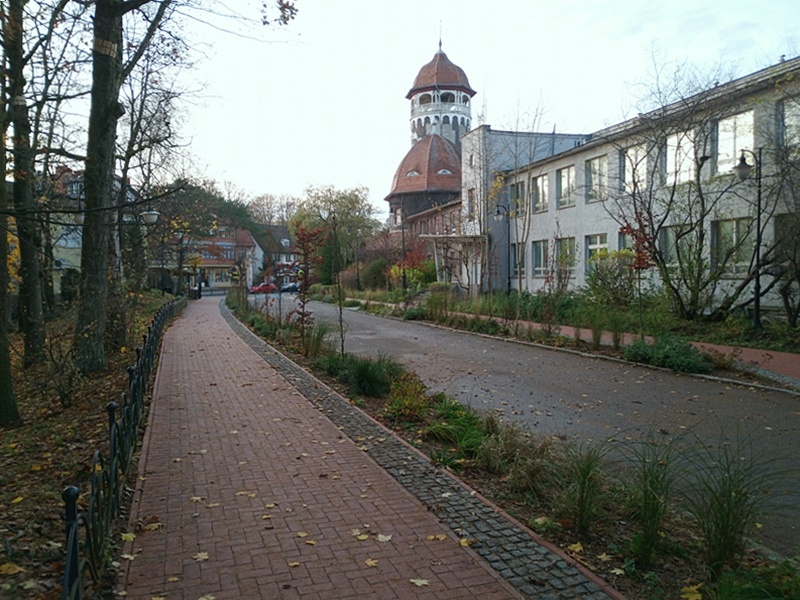 Курортный Светлогорск, улица Курортная