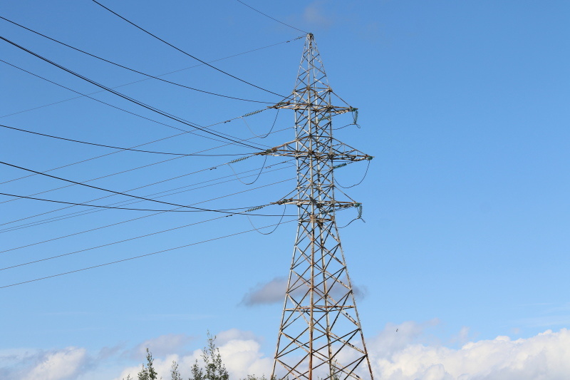    Фото: Maksim Konstantinov/Globallookpress