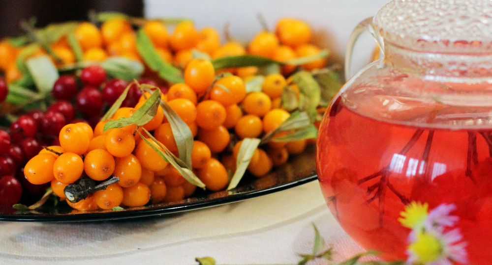 Сибирский чайный сад: выращиваем иргу, калину и облепиху для вкусного и полезного чая