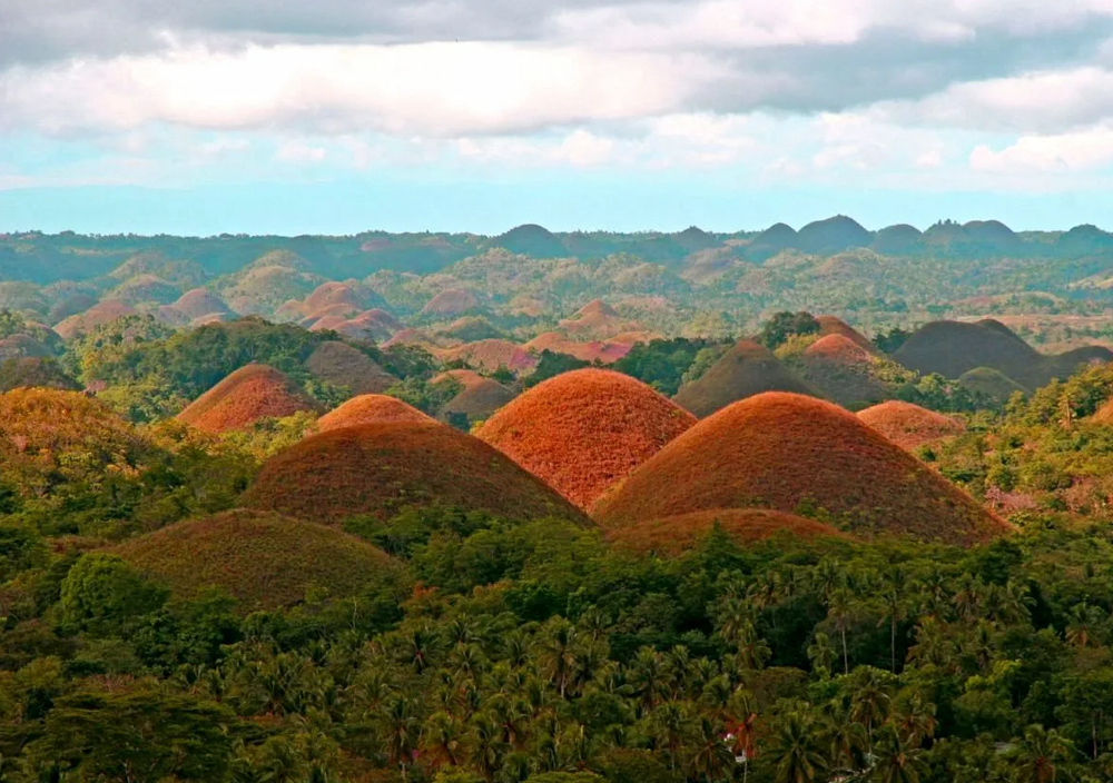 Шоколадные холмы, остров Бохол. Уникальный геологический феномен — более тысячи холмов идеальной формы, которые в сухой сезон становятся шоколадно-коричневыми.