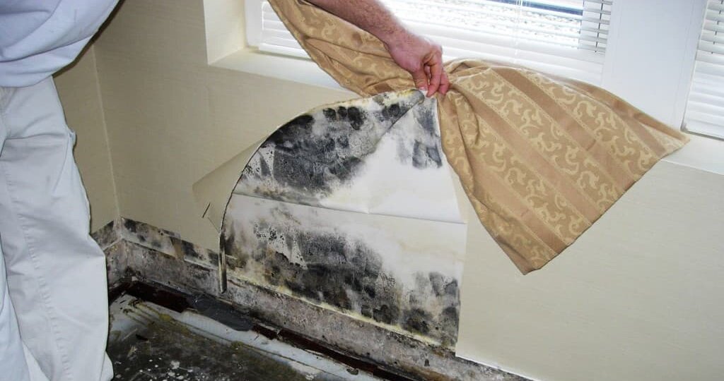 Как обработать стены от плесени