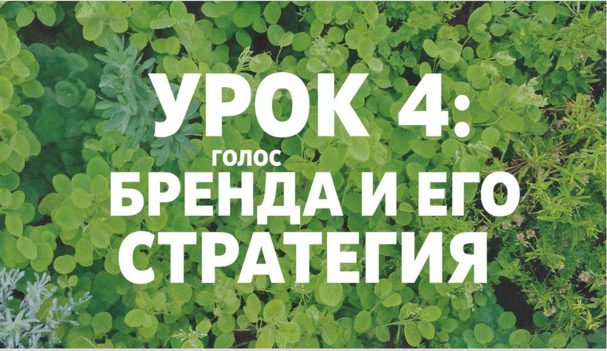 Урок 4: Голос бренда и его стратегия 