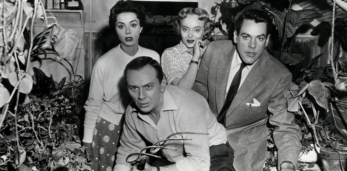 Кадр из фильма "Вторжение похитителей тел" (1956)