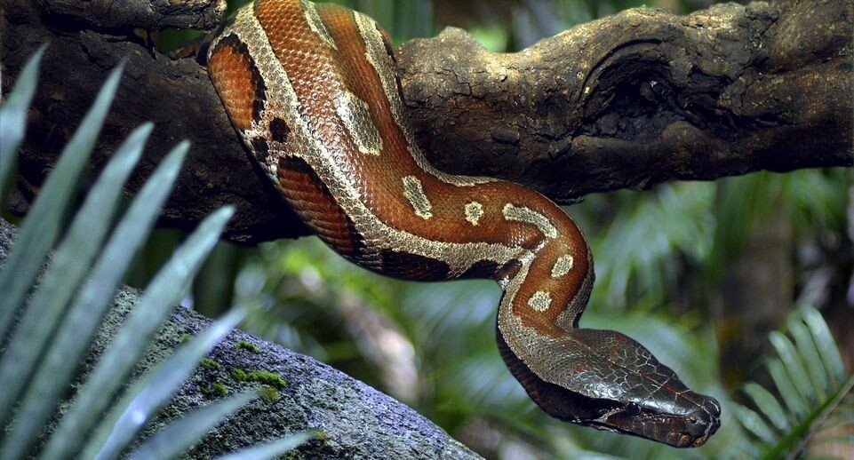    H. Schmidbauer/blickwinkel / www.globallookpress.com