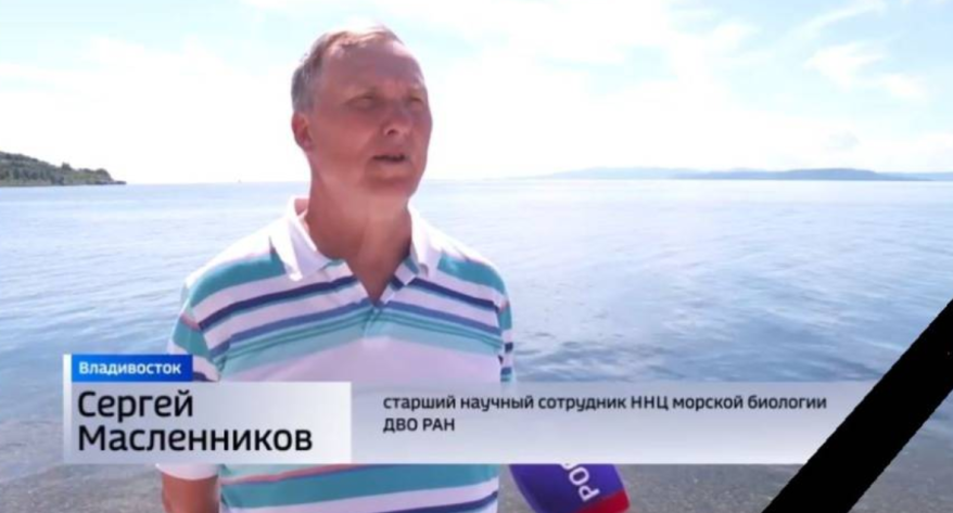    Источник фото: