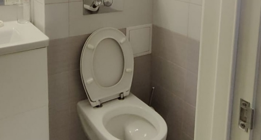    Нашла классный способ, как закрыть трубы в туалете - подойдет каждому и стоит копейки