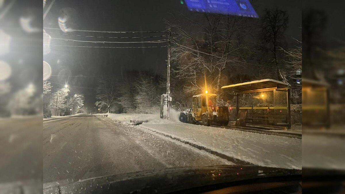    Фото: vk.com/kb_spb