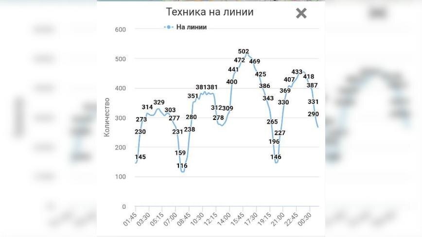    Фото: комблаг Петербурга