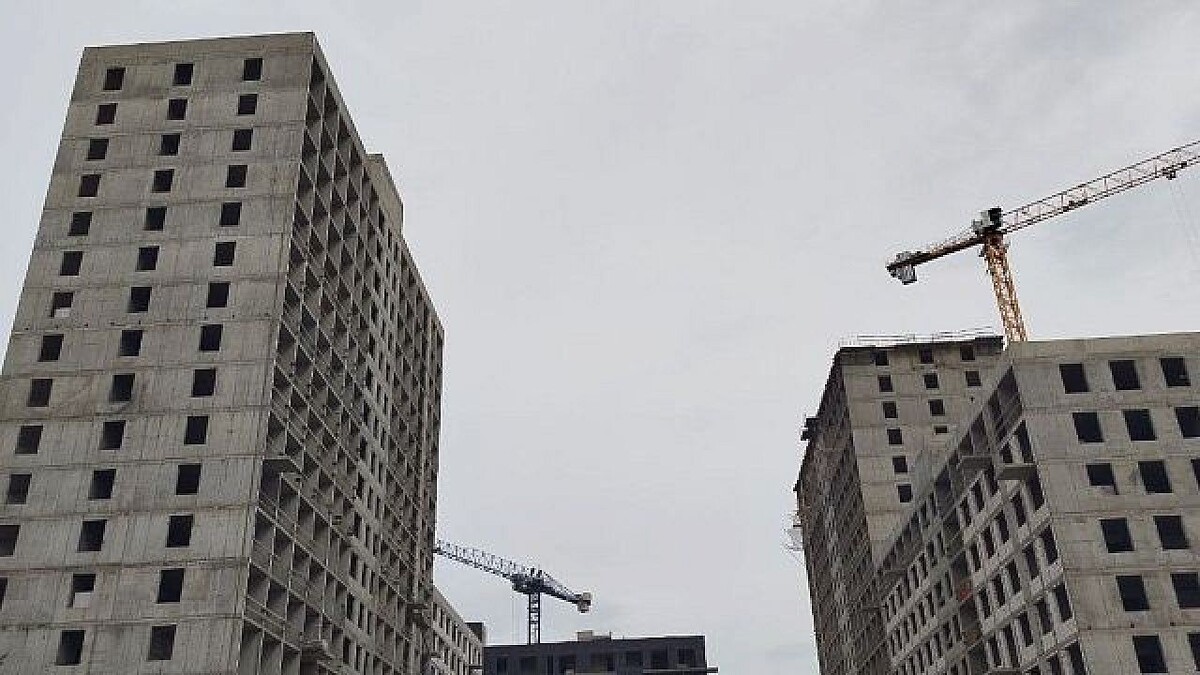    Фото: телеканал «Краснодар»