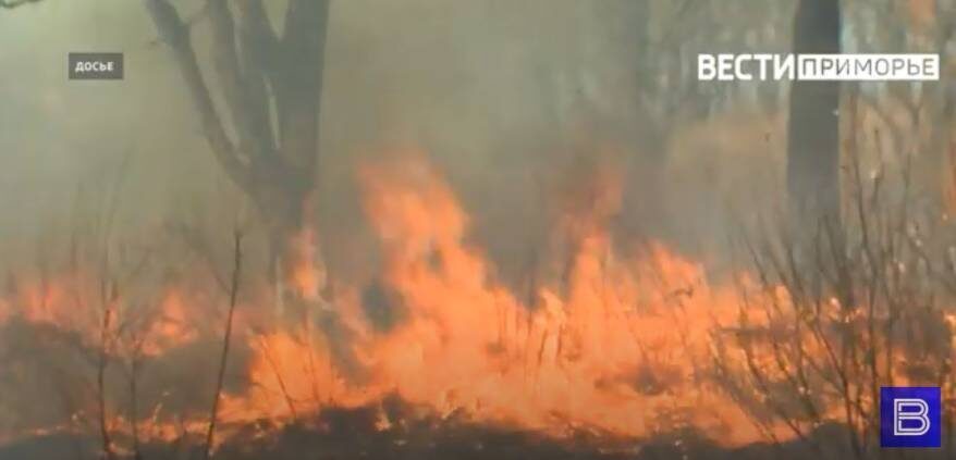    Источник фото: