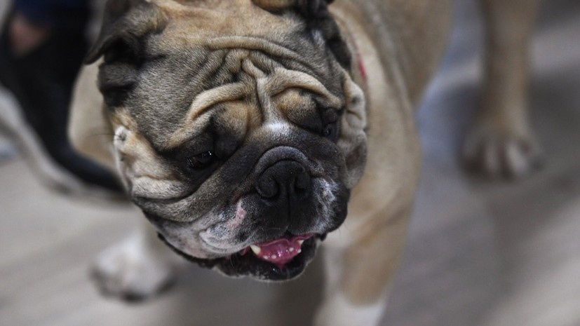   РИА Новости