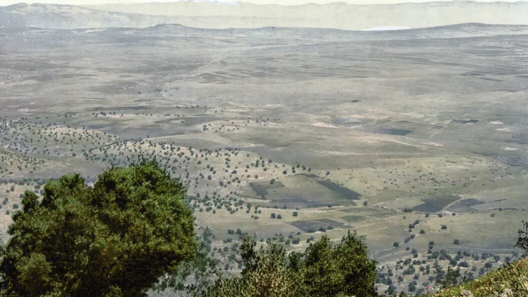    ФОТО: IMAGO/H.Tschanz-Hofmann/Globallookpress