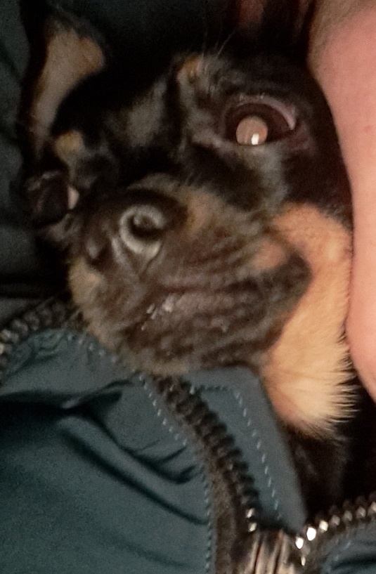 фото из личного архива