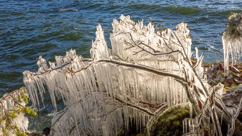     Замороженные деревья на Алтае Алтайский биосферный заповедник