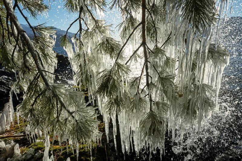 Листайте вправо, чтобы увидеть больше изображений