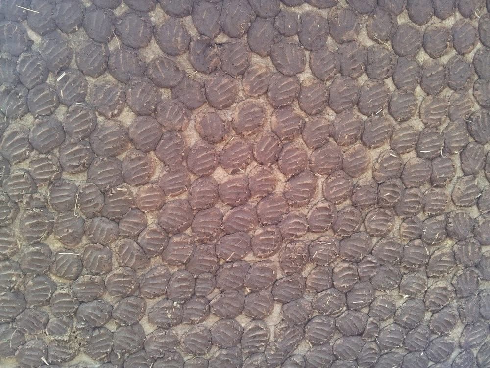 Природное топливо на стенах индийских домов