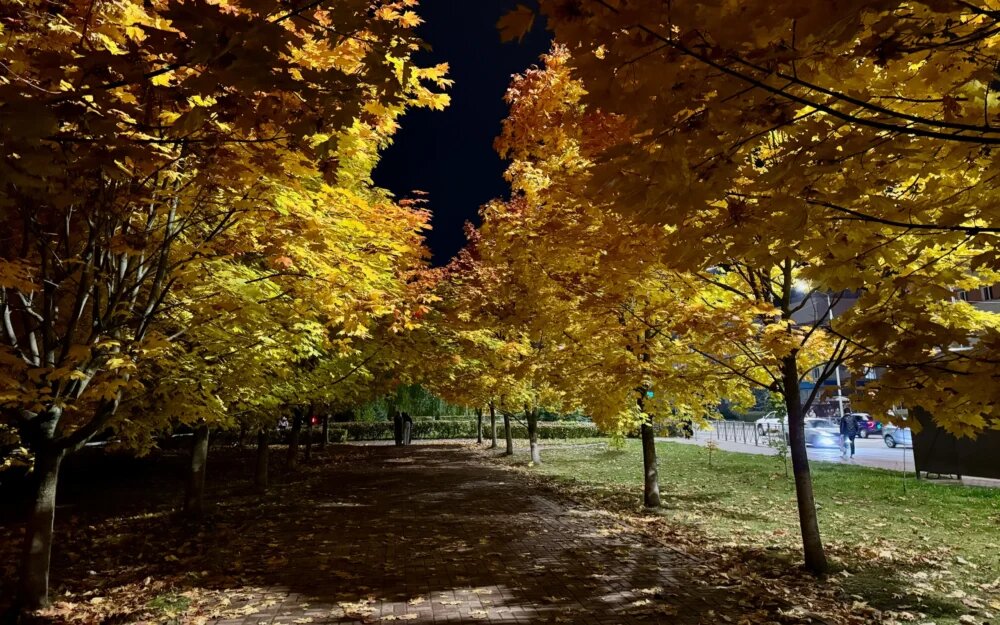    Фото: «Брянские новости»