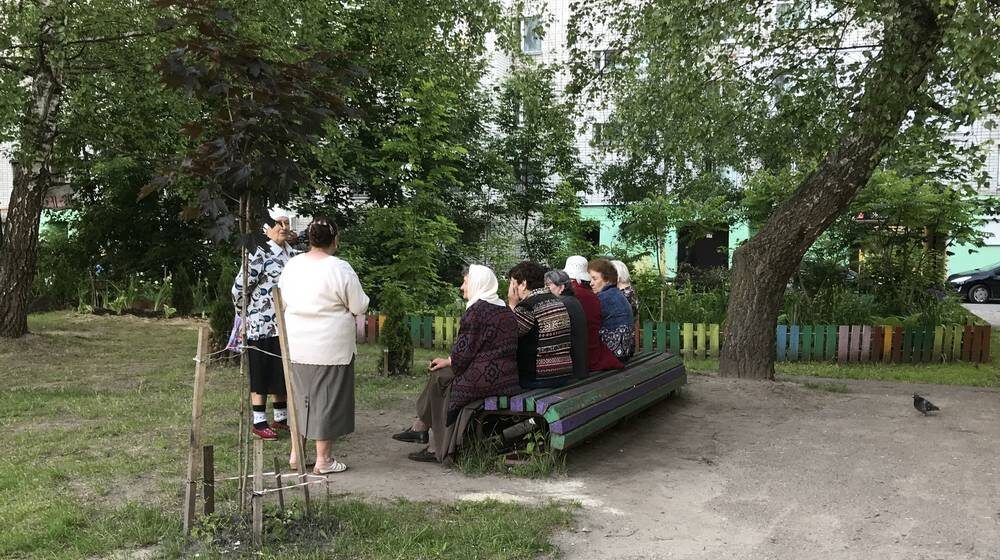    Фото: "Брянские новости"