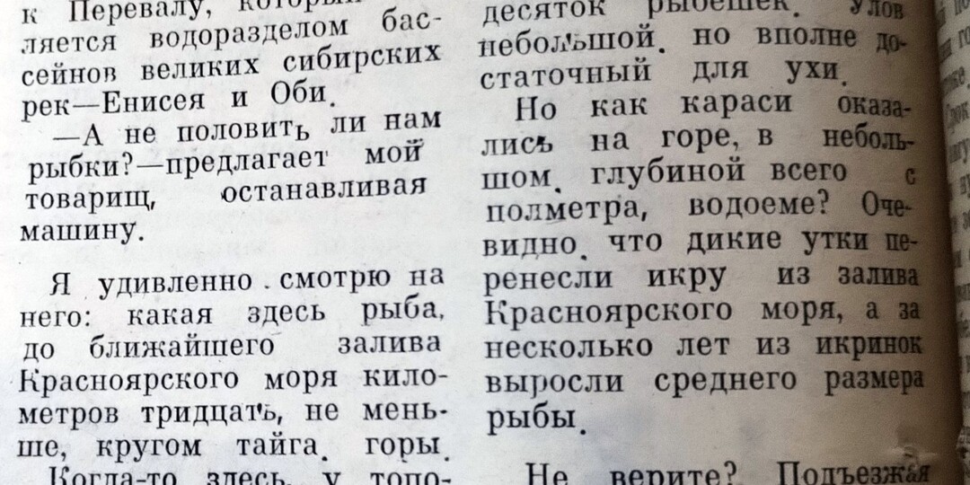 Караси на горе