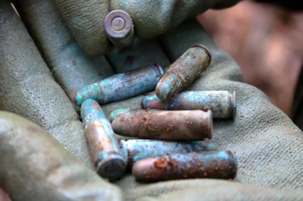    Поисковики из Нижневартовска завершили сезон раскопок