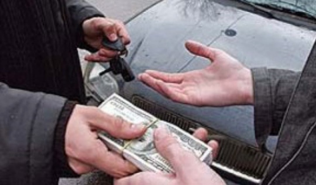 Фото Яндекс картинки