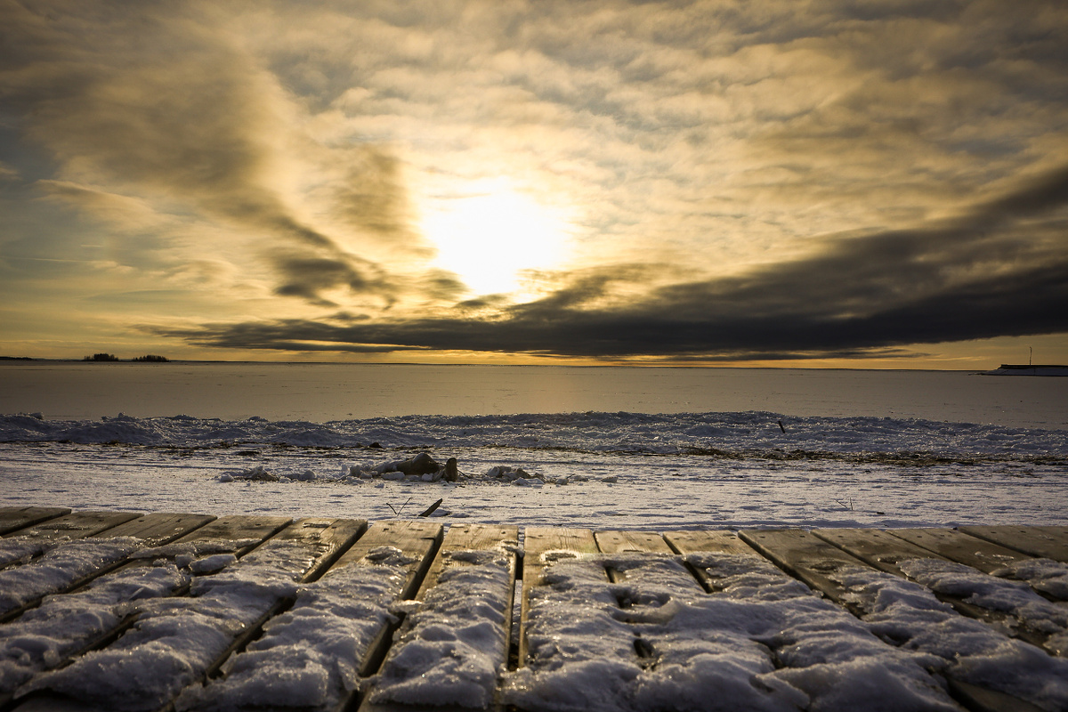 Фото: Ростислав Нетисов, nsknews.info