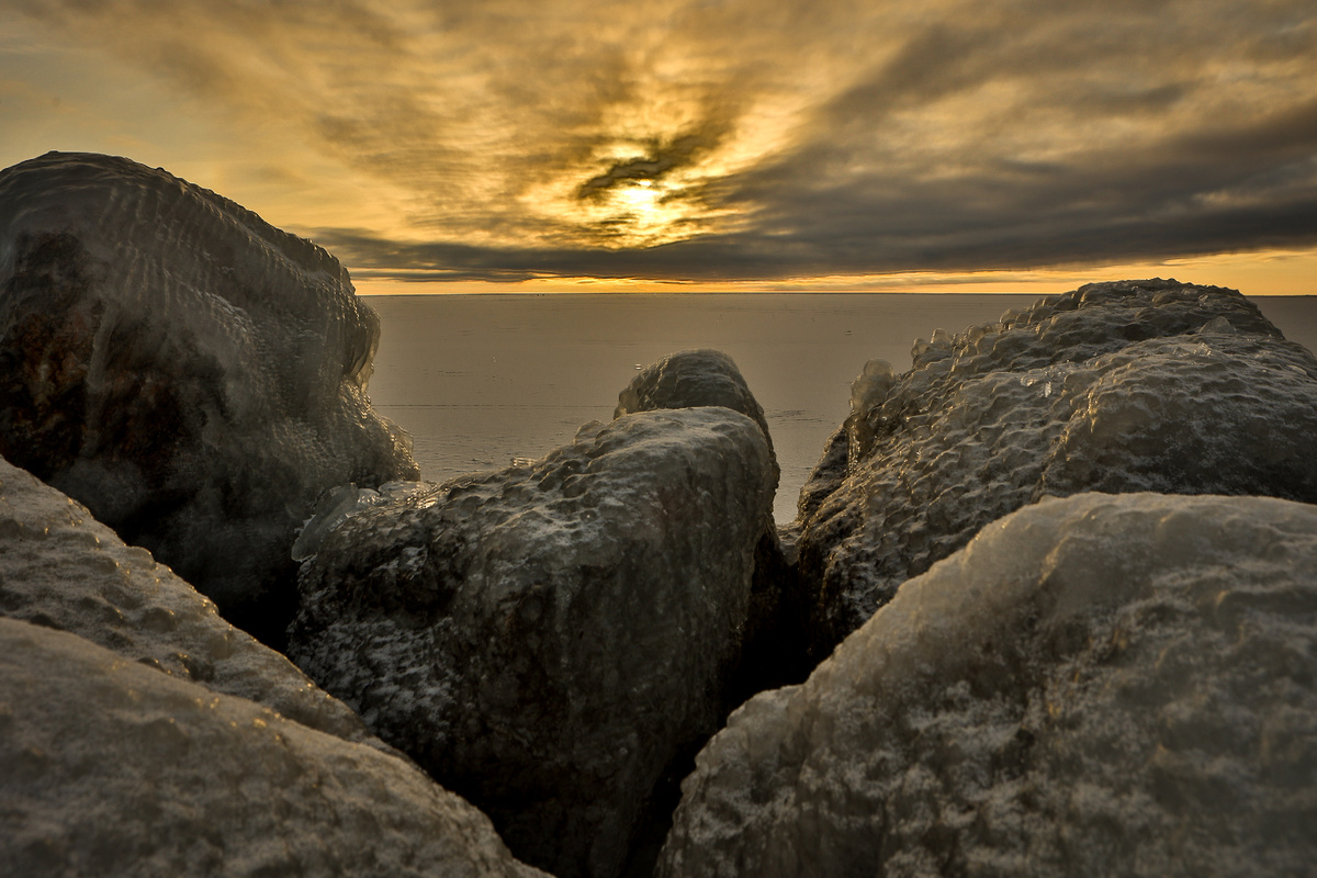 Фото: Ростислав Нетисов, nsknews.info