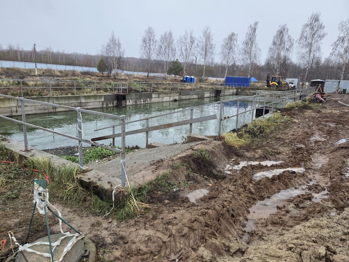    Павел Наумов / ИД «Вечерняя Казань»