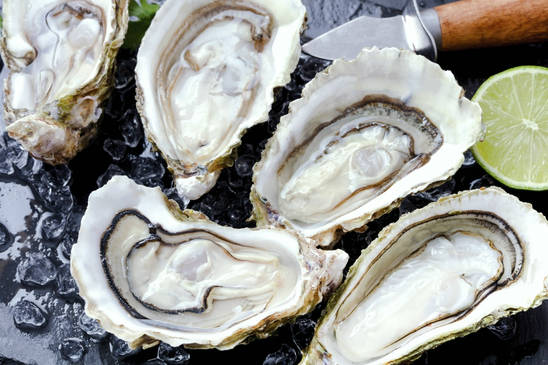 Устрицы 