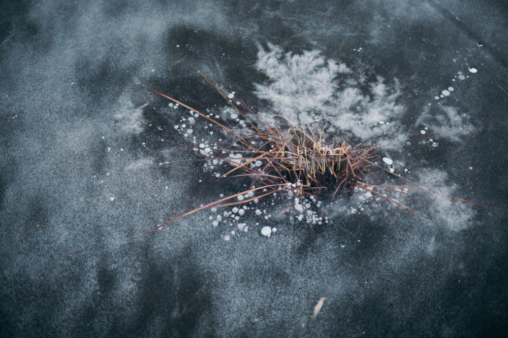     Фото: Артур Шакиров