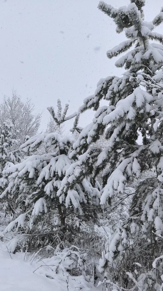 Зима близко