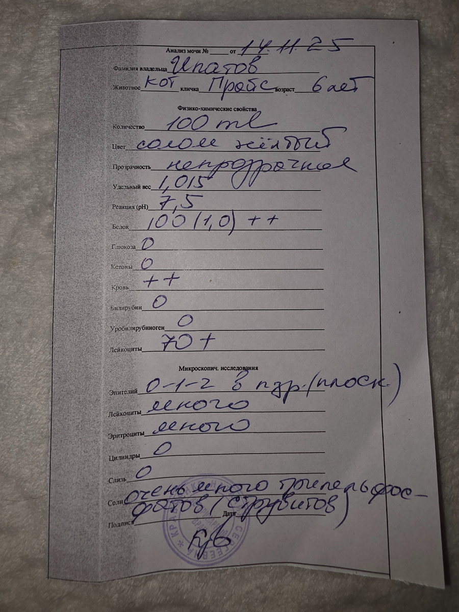 Результат анализа мочи Прайсика