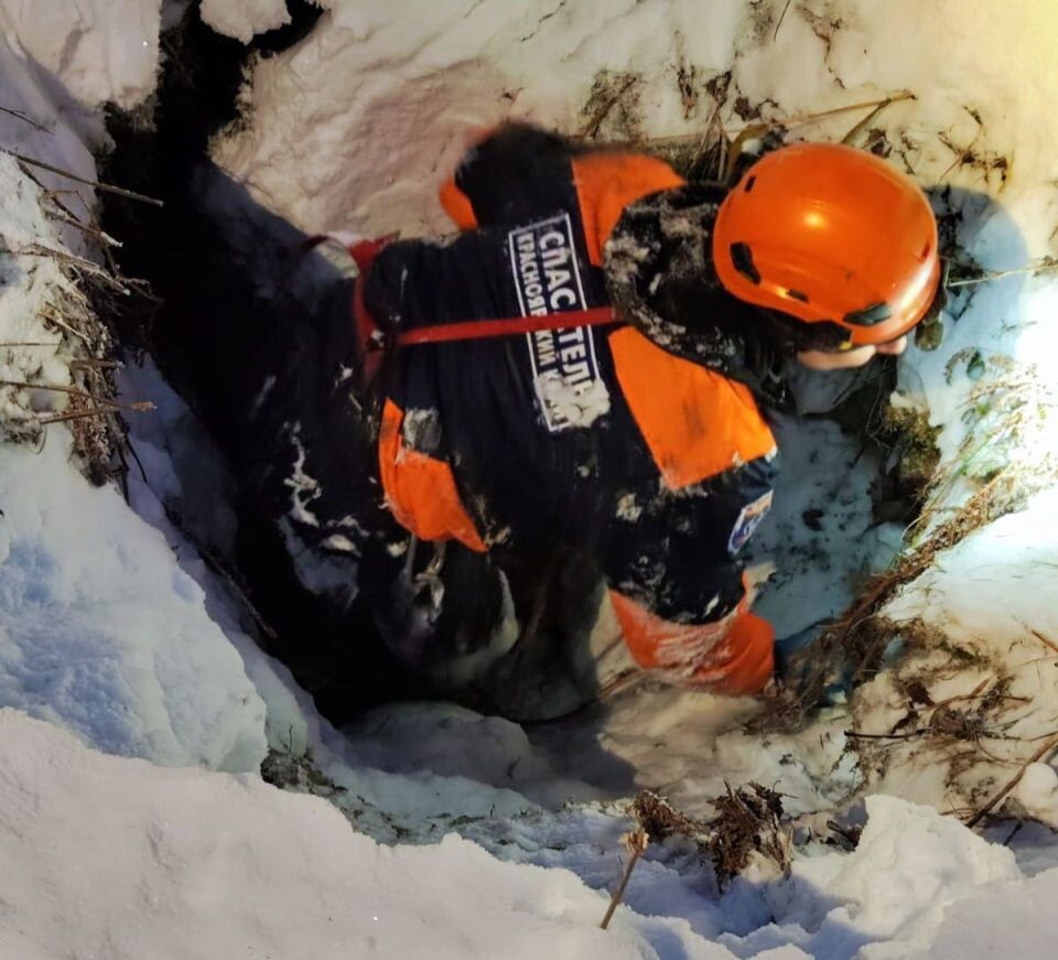    Поиски Усольцевых. Источник: t.me/spasatel24