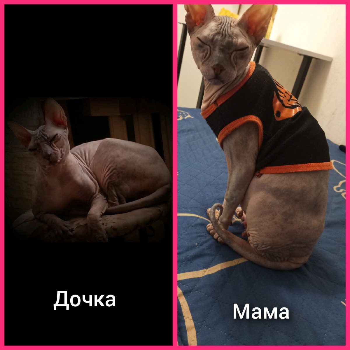 Снежа с дочкой Лушой