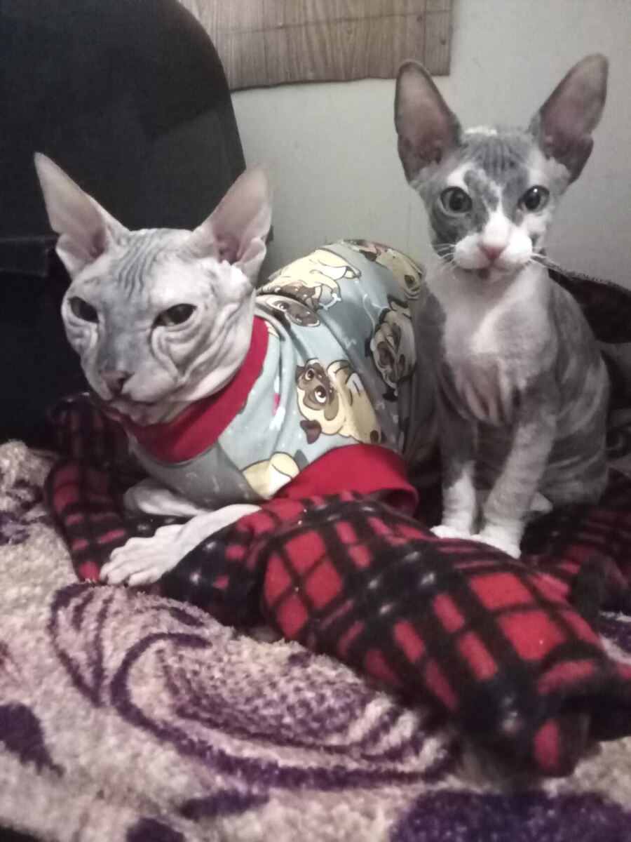 Снежа с дочкой Мирой маленькой))))..