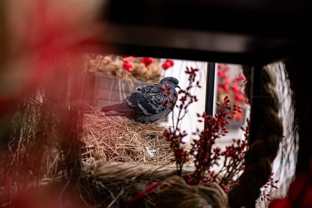 Погода в Твери 19 ноября. По нулям