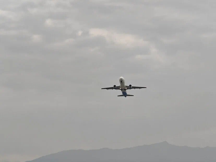    Фото: Юрий Серебренников/BFM Кубань