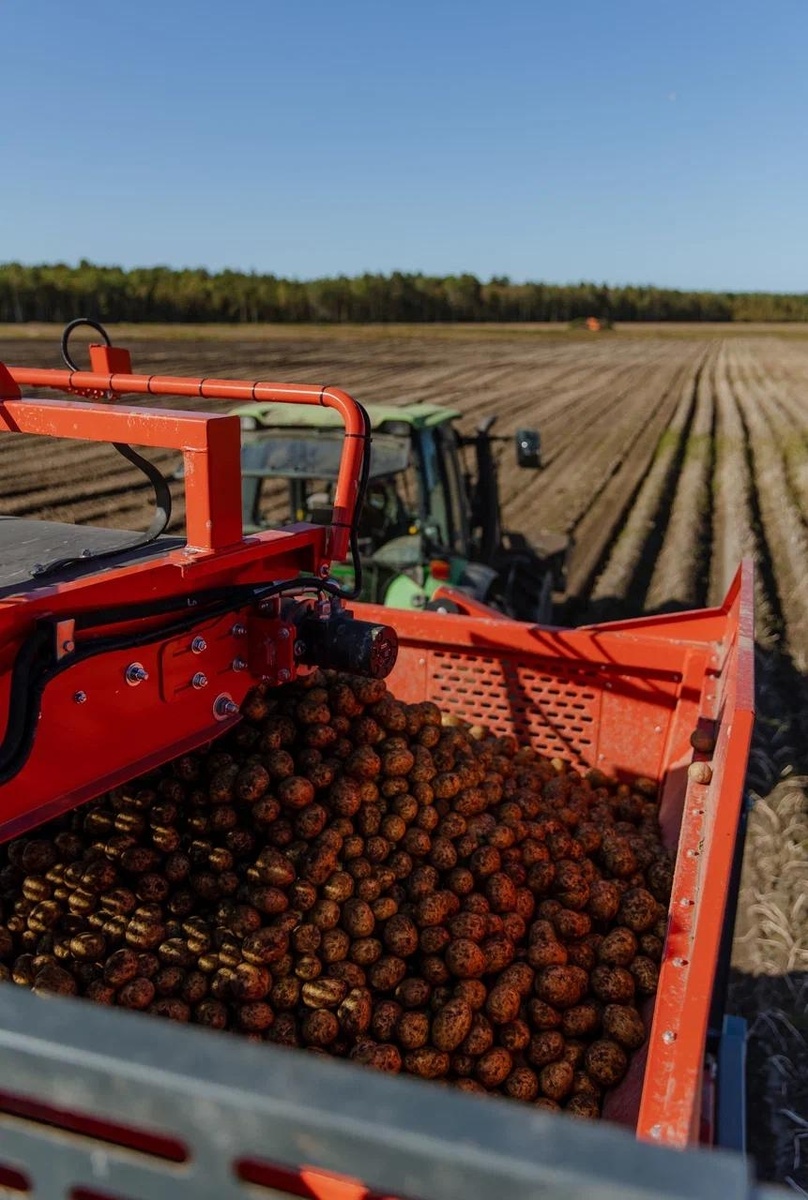    фото: © Министерство сельского и рыбного хозяйства Карелии