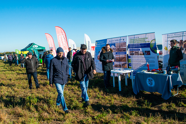    В день проведения интервью на полях «Красного Востока» как раз проходил зональный семинар по кормопроизводству и животноводству.   
Фото: «БИЗНЕС Online»