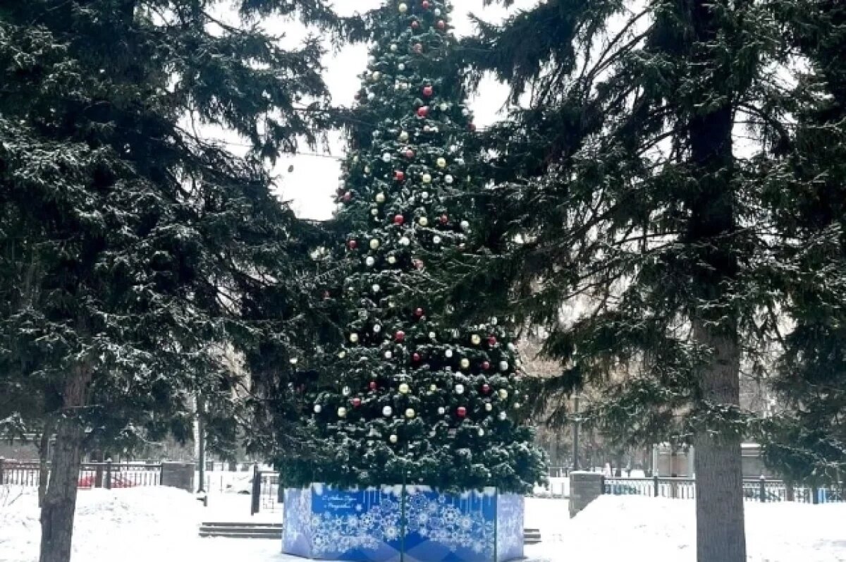    В Салехарде продолжается установка новогодних елей