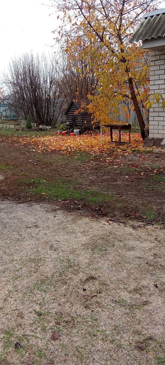 Личное фото 